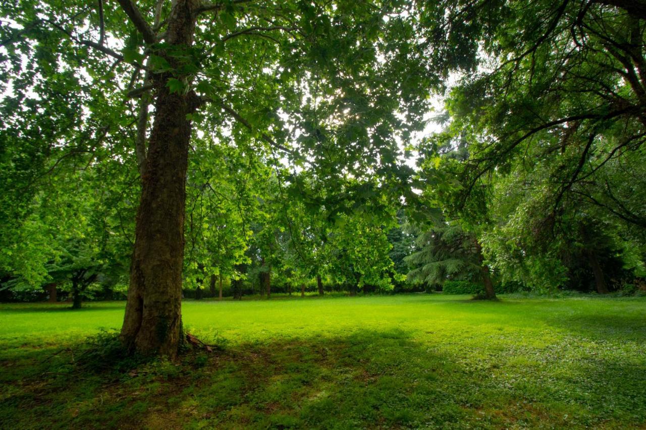 B & B Villa Dell'Usignolo Nerviano Kültér fotó